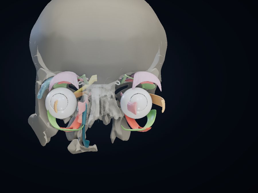 Orbit 3D atlas preview